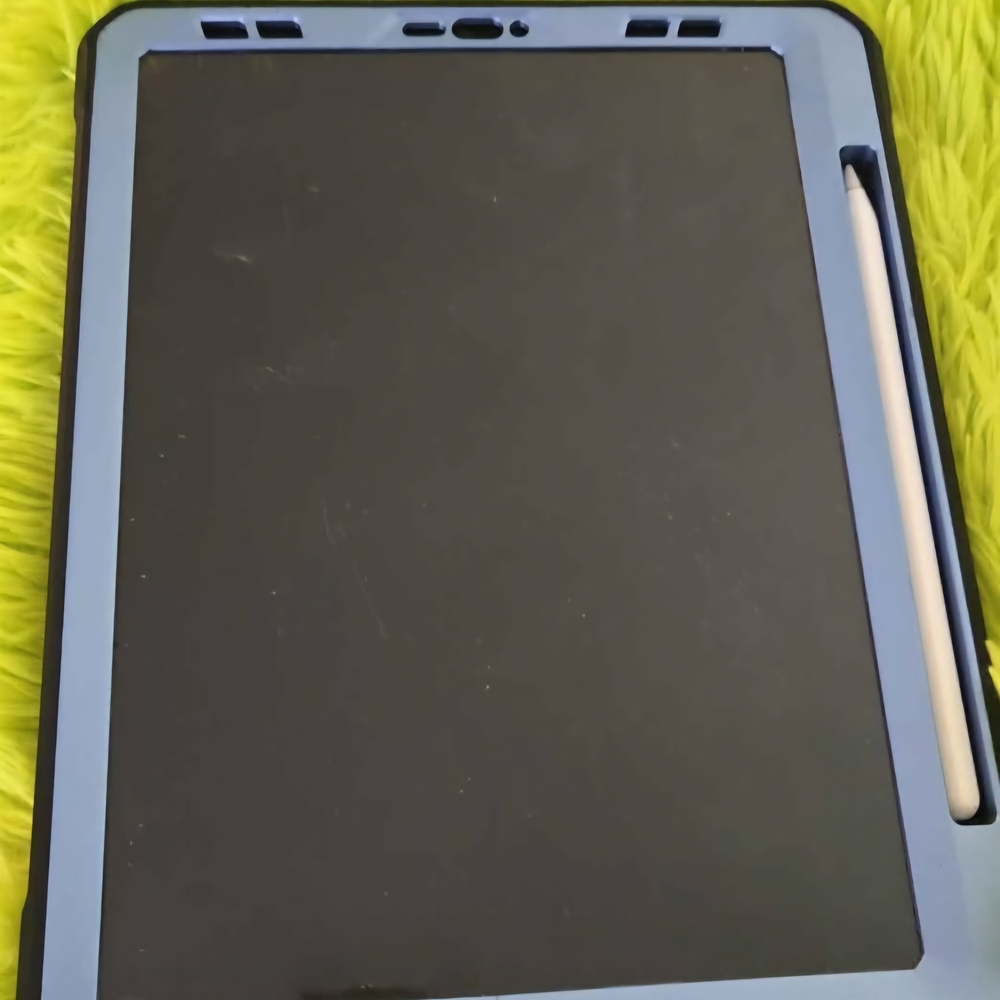 iPad Pro 3rd gen cellular UNLOCKED with Apple Pencil, procreate and case